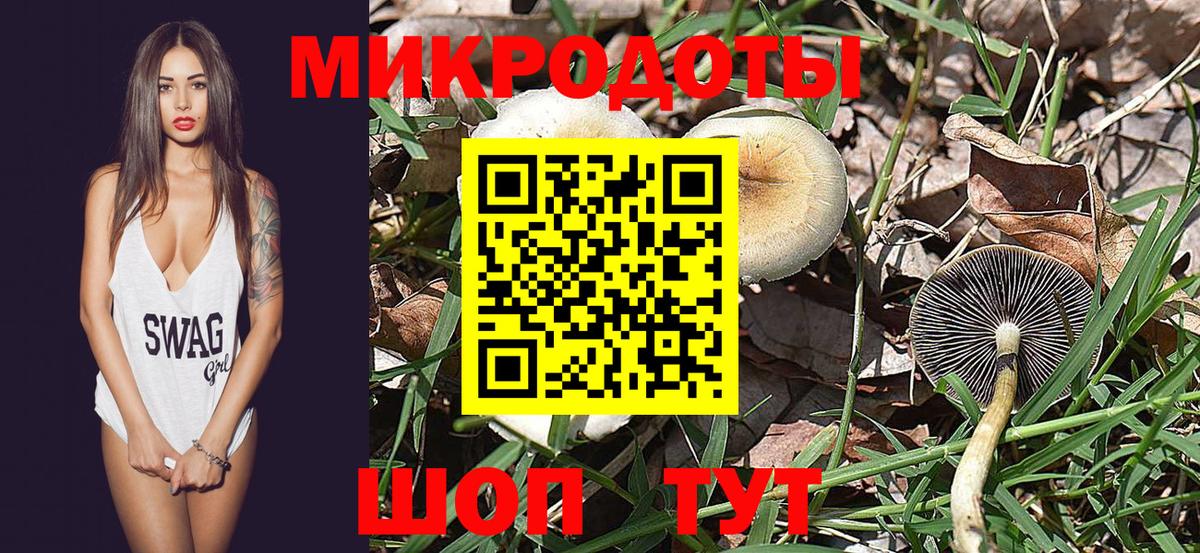 Псилоцибиновые грибы Psilocybine cubensis  Вход с VPN  Новотроицк 