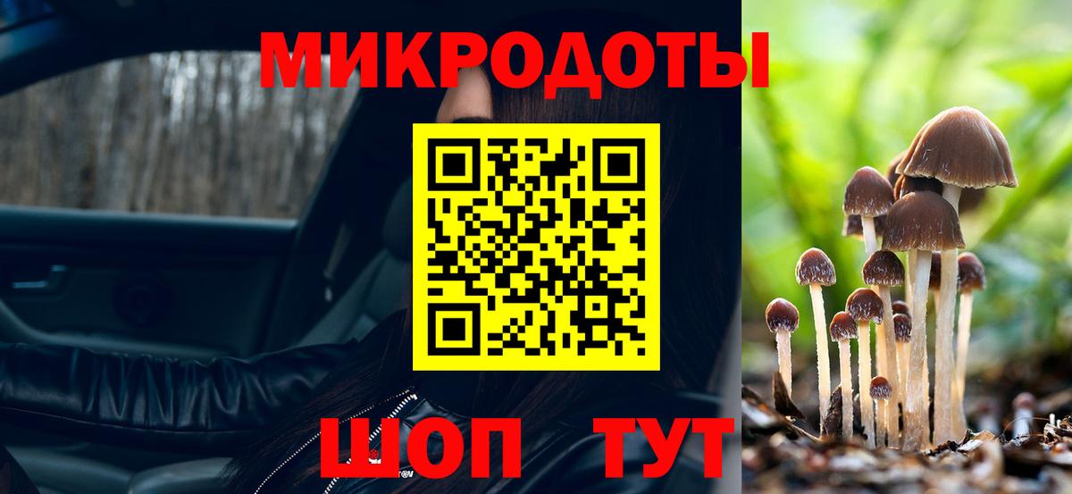 Псилоцибиновые грибы Psilocybine cubensis Новотроицк